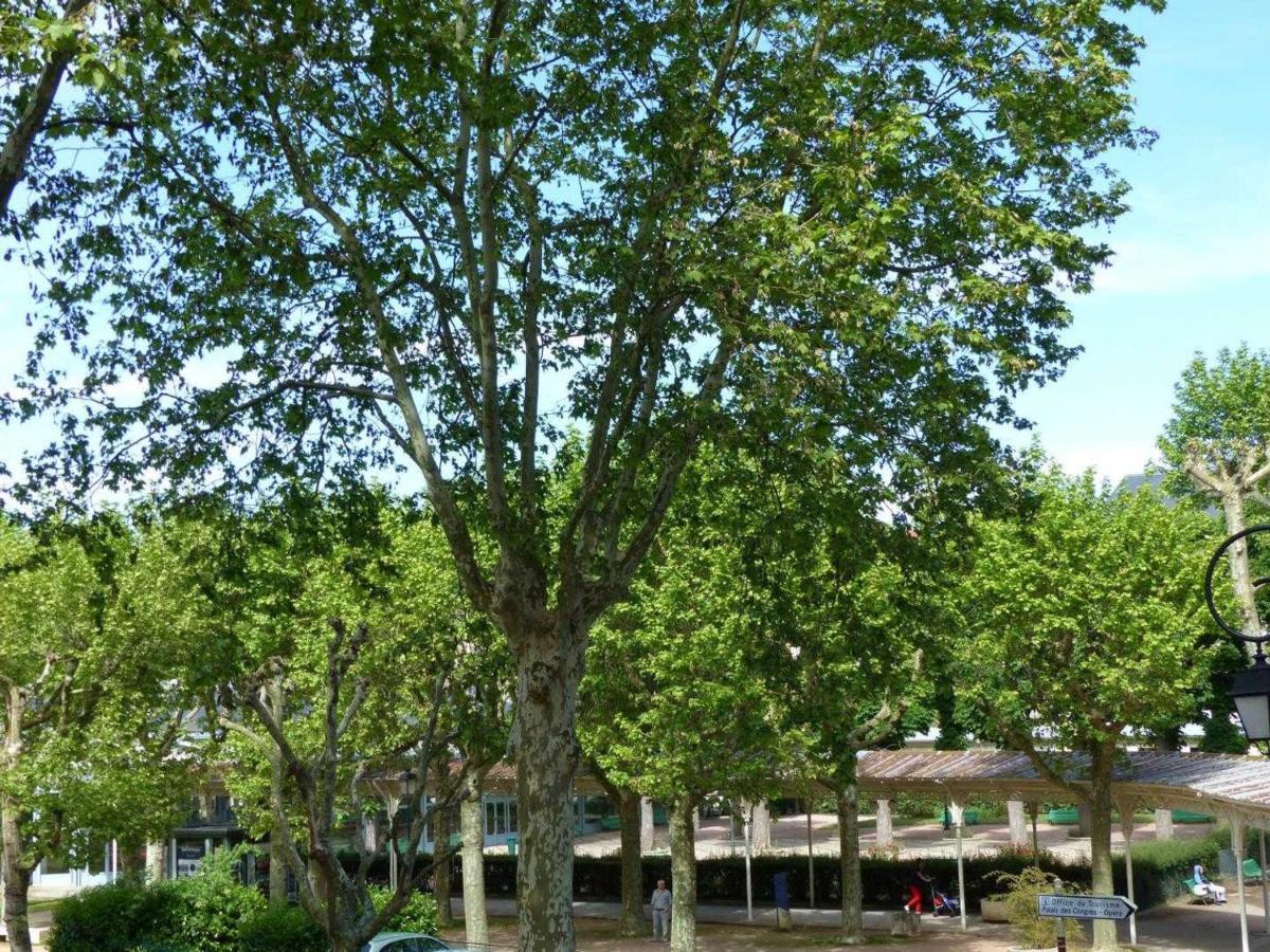Appartement Elegant Et Confortable Au Coeur De Vichy, Pres De L'Opera Et Des Parcs Napoleon III - Fr-1-489-303 Exterior foto